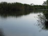 Колпаковка. вересень 2009