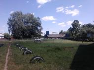 Червоний Ранок - Останні фото