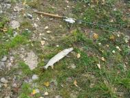 Колпаковка. вересень 2009