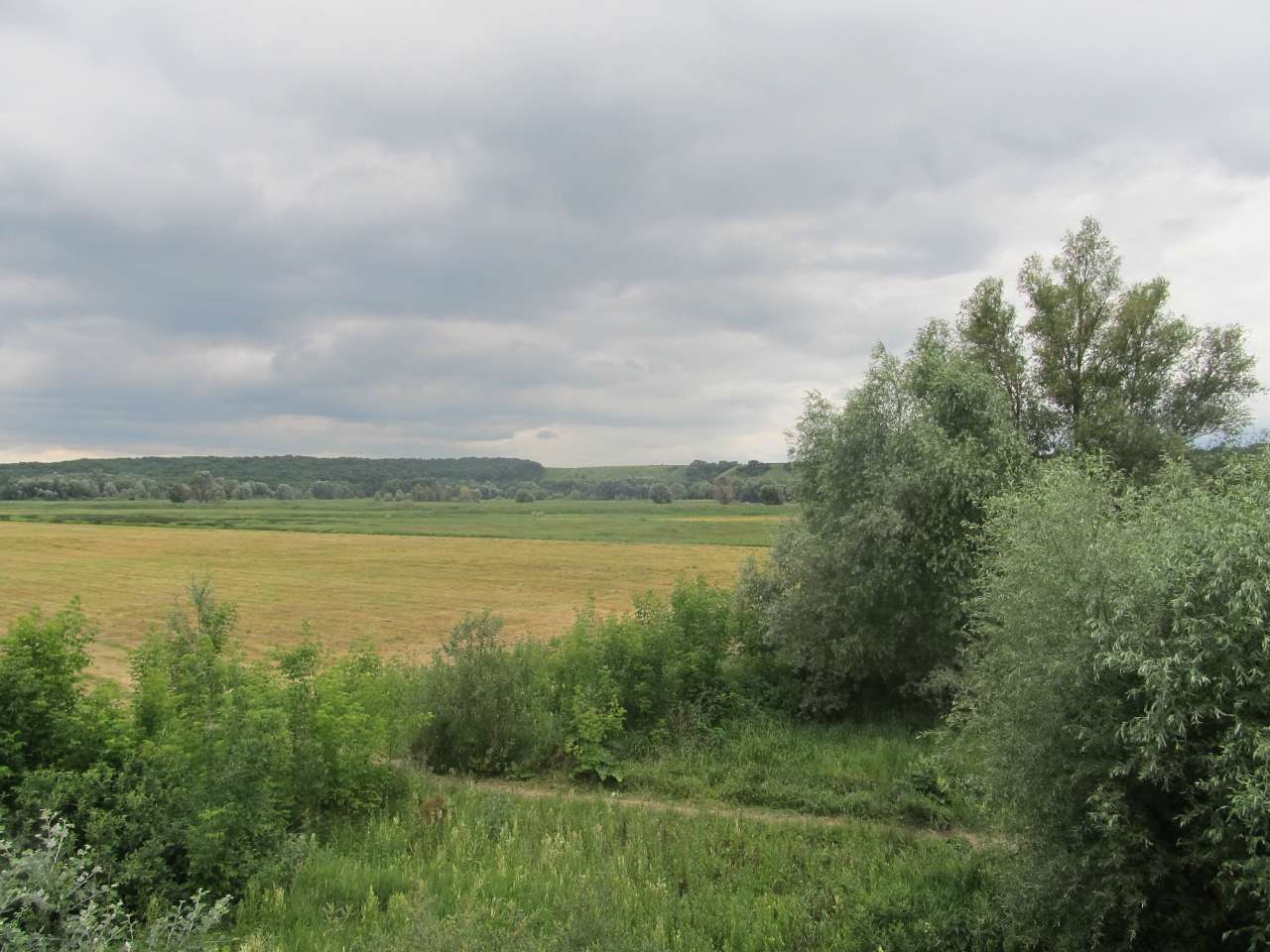 Село Турбаї. Початок. - Turbayi