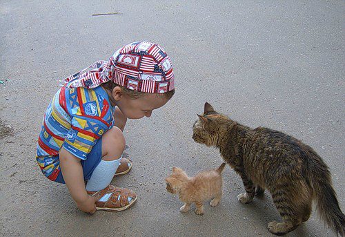 Моим землякам из Малой Рогозянки - Мала Рогозянка