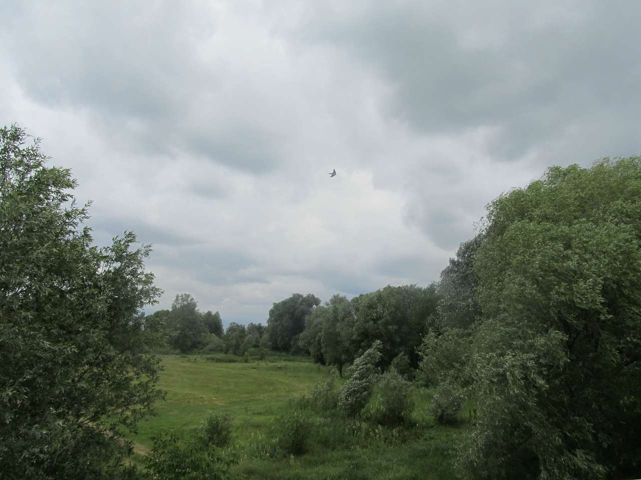 Село Турбаї. Початок. - Турбаї