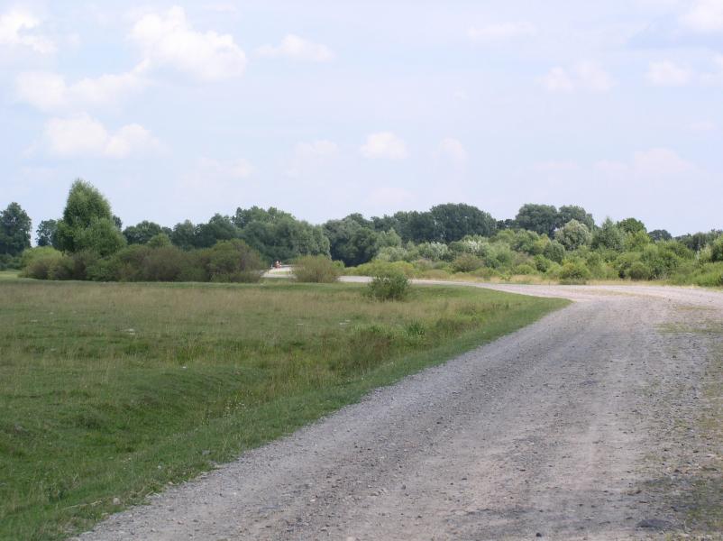 Задиби - фотохроніка - Задиби