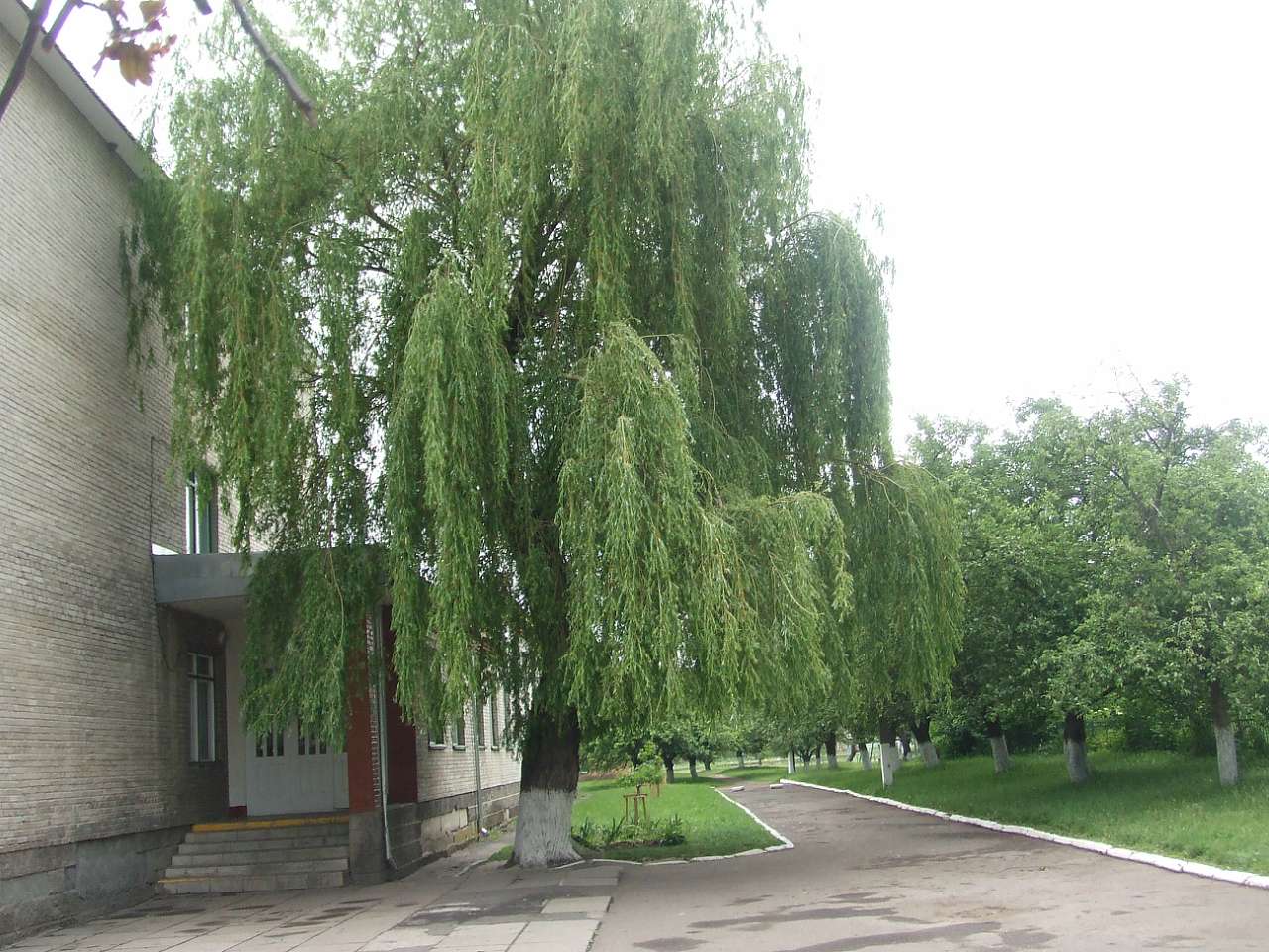 школа - Жвирка