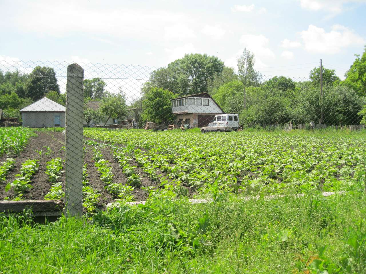 Дібрівка - Дібрівка