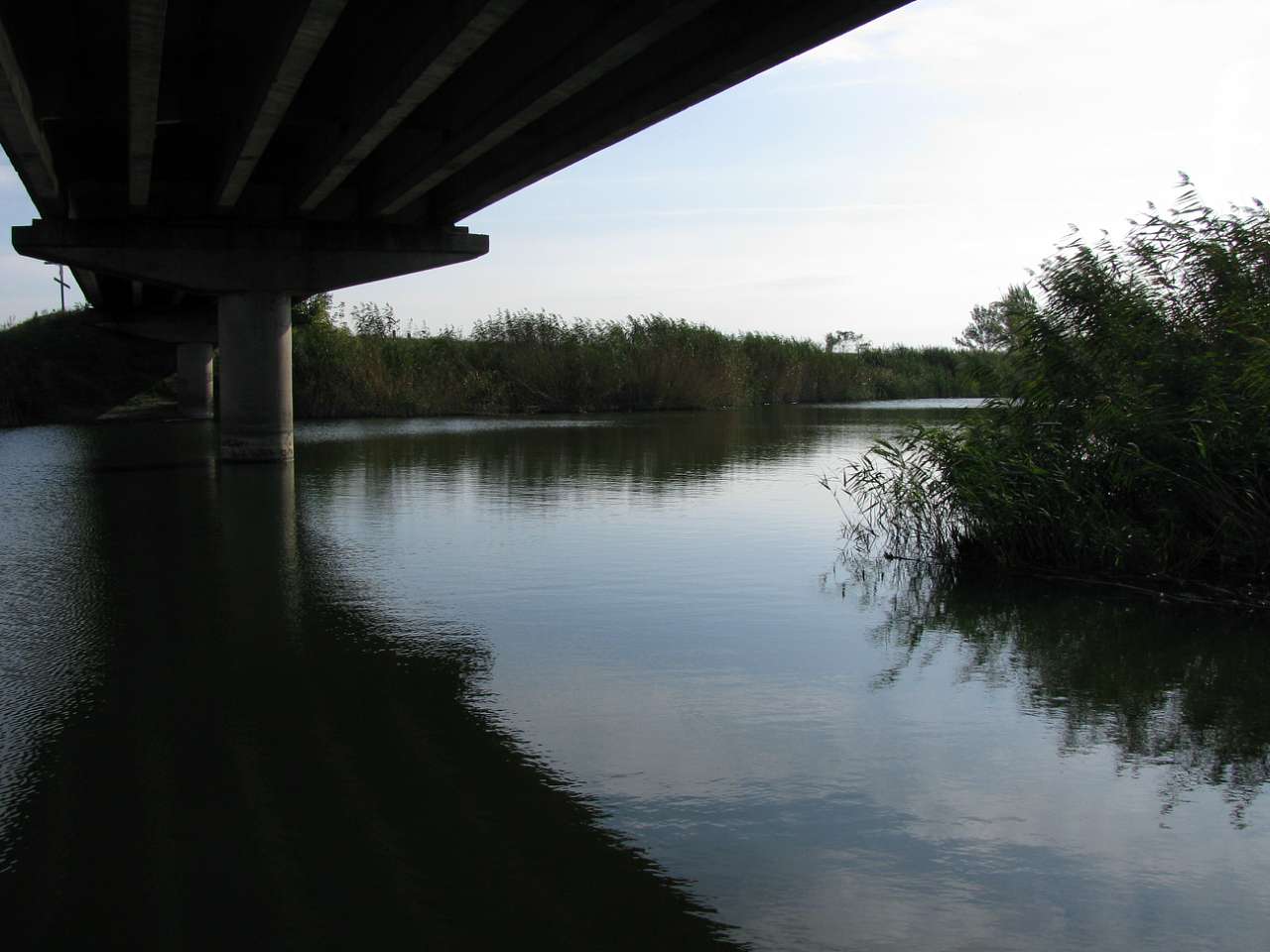 Колпаковка. вересень 2009 - Ковпаківка