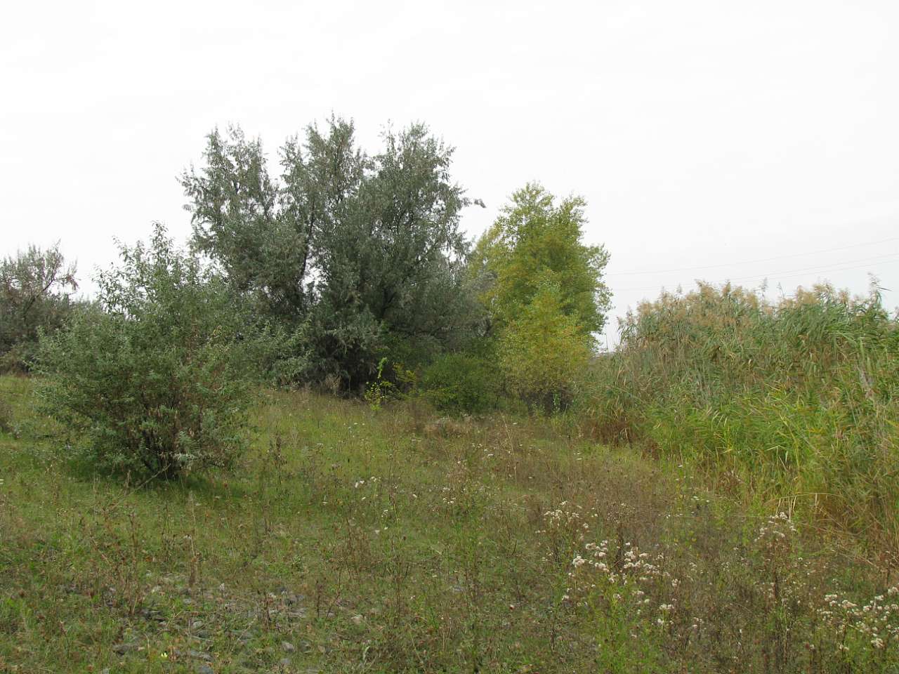 Колпаковка. вересень 2009 - Ковпаківка