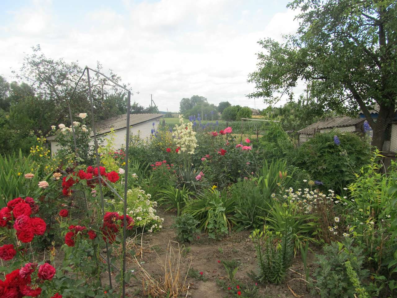 Літо вПетрівці - Петровка
