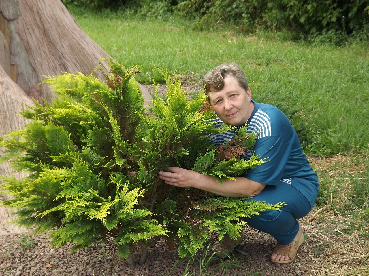 27.04.2012. - Чагарі