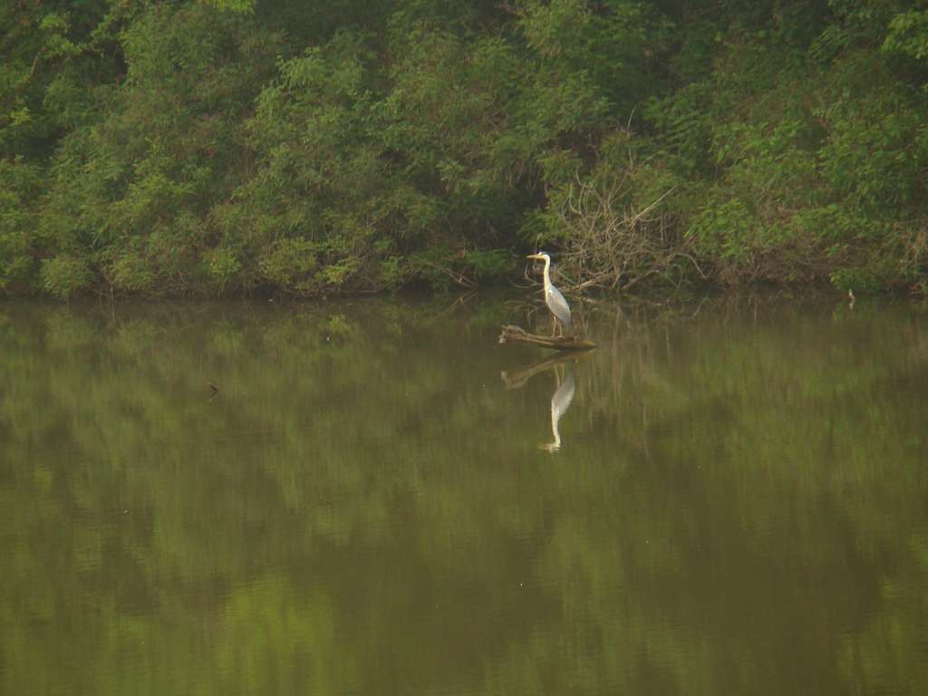 Літо - Гільці