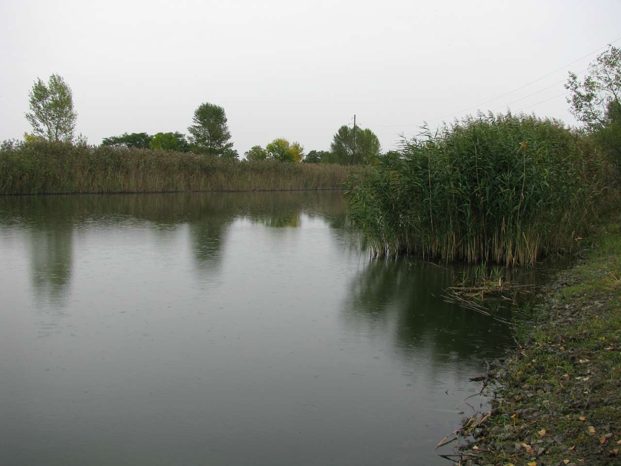 Колпаковка. вересень 2009 - Ковпаківка