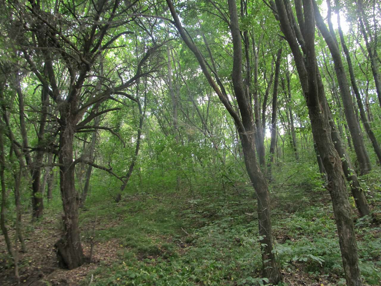 Біля цілющого джерела - Турбаї