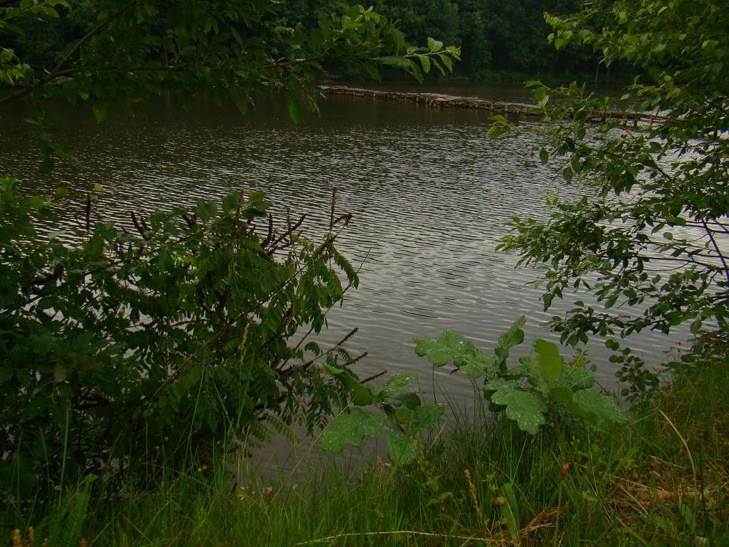 Літо - Giltsi