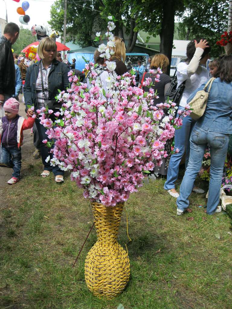 Троїцький ярмарок 3.06.2012. - Мена