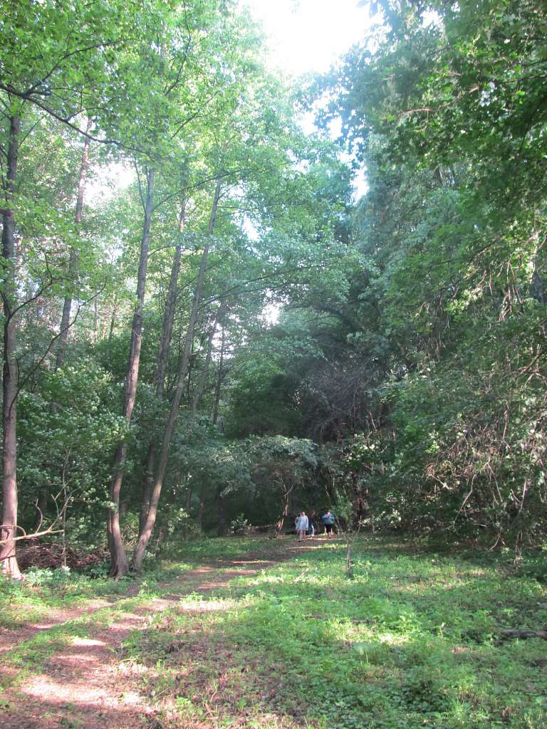 Біля цілющого джерела - Турбаї