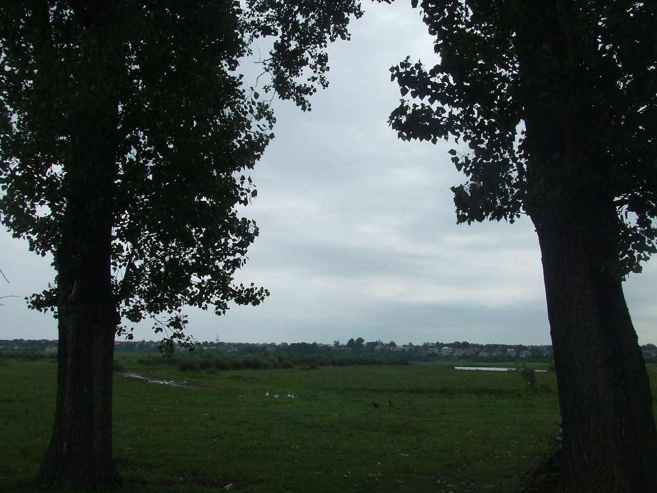 Краєвид - Завишень