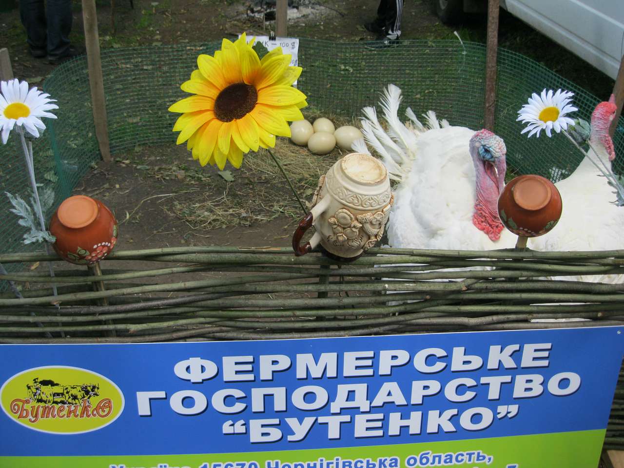 Троїцький ярмарок 3.06.2012. - Мена