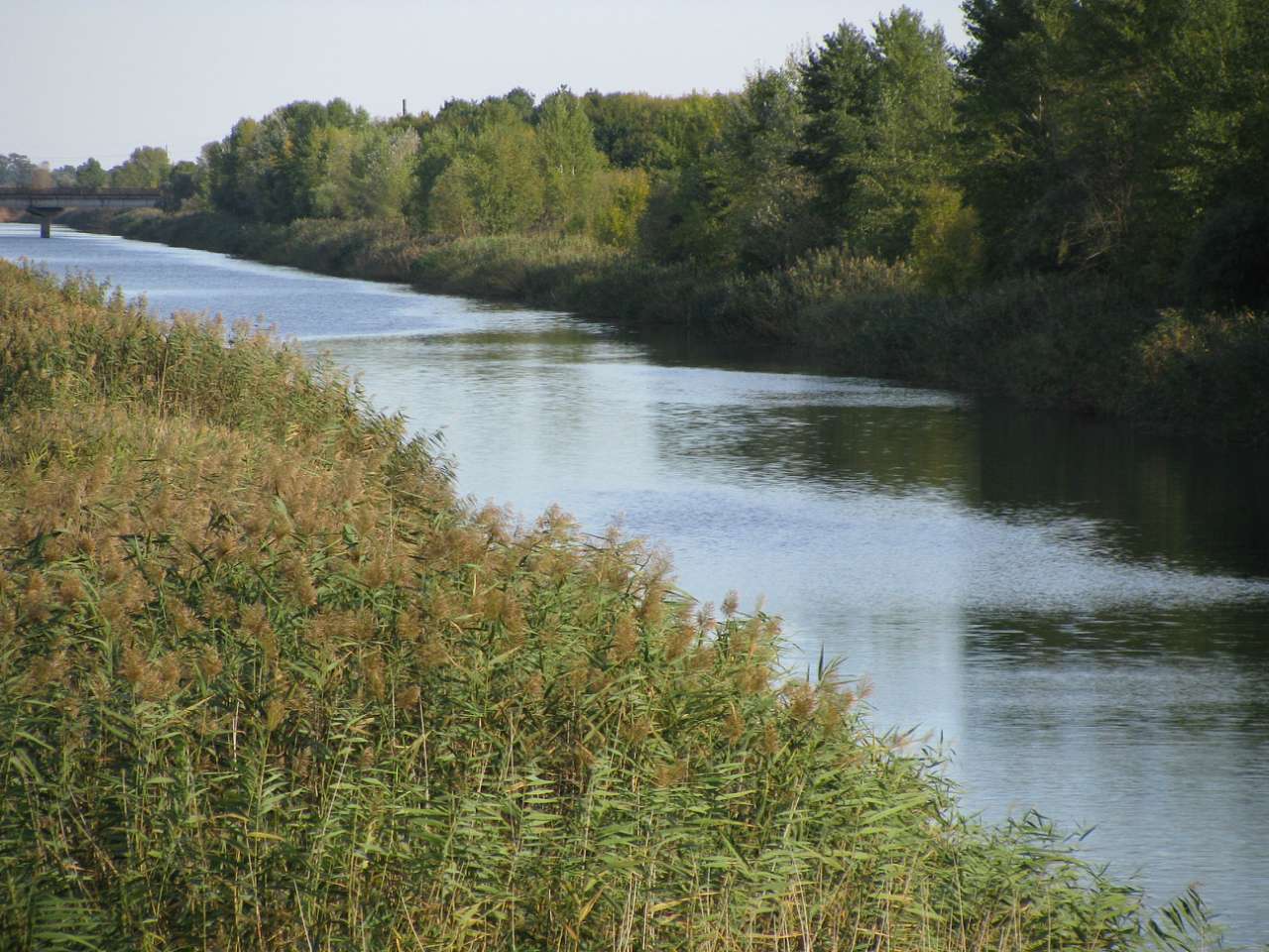 Колпаковка. вересень 2009 - Ковпаківка