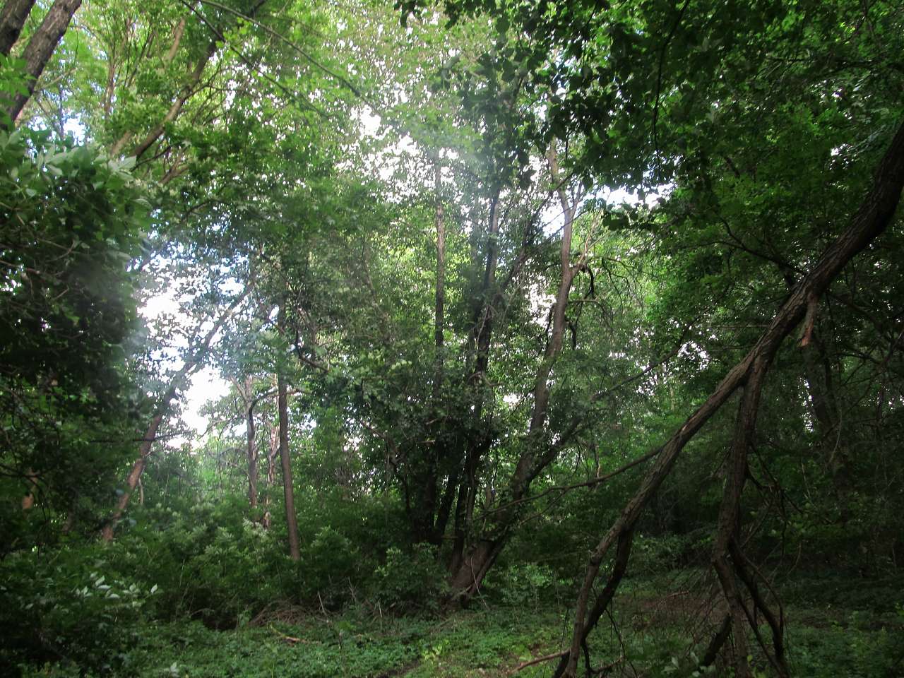 Біля цілющого джерела - Турбаї