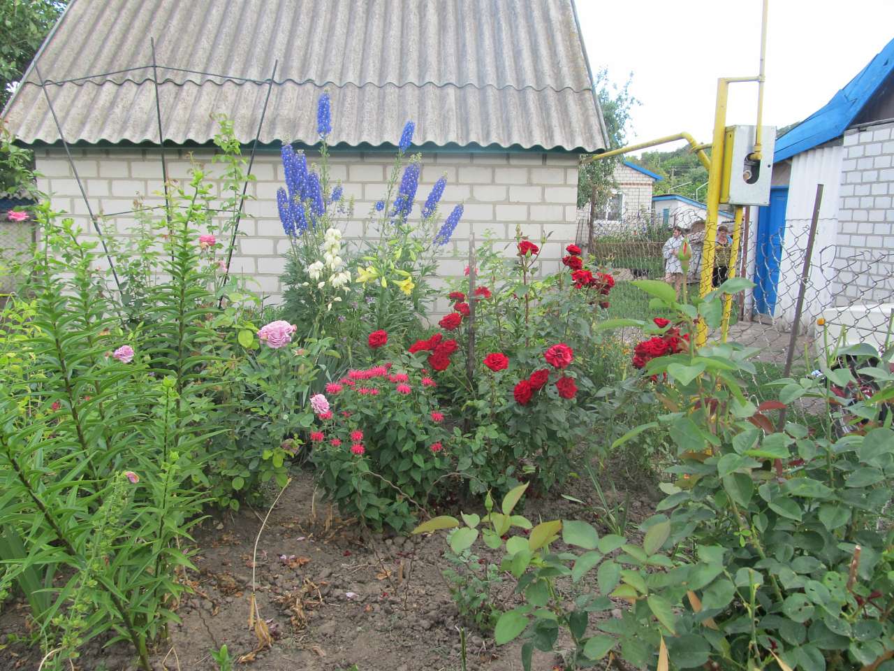 Літо вПетрівці - Петрівка