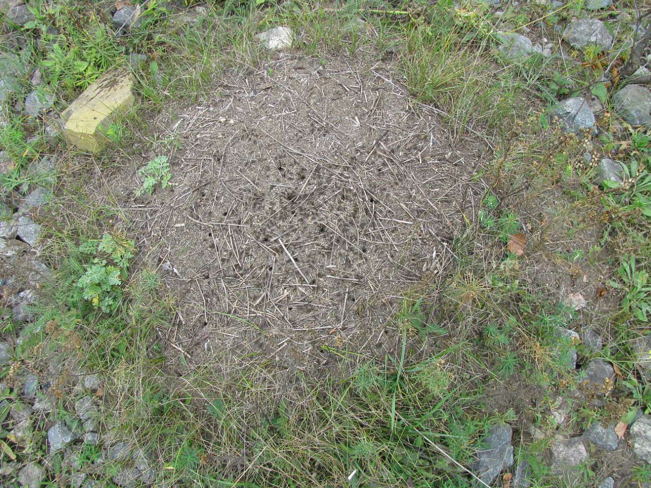 Колпаковка. вересень 2009 - Ковпаківка