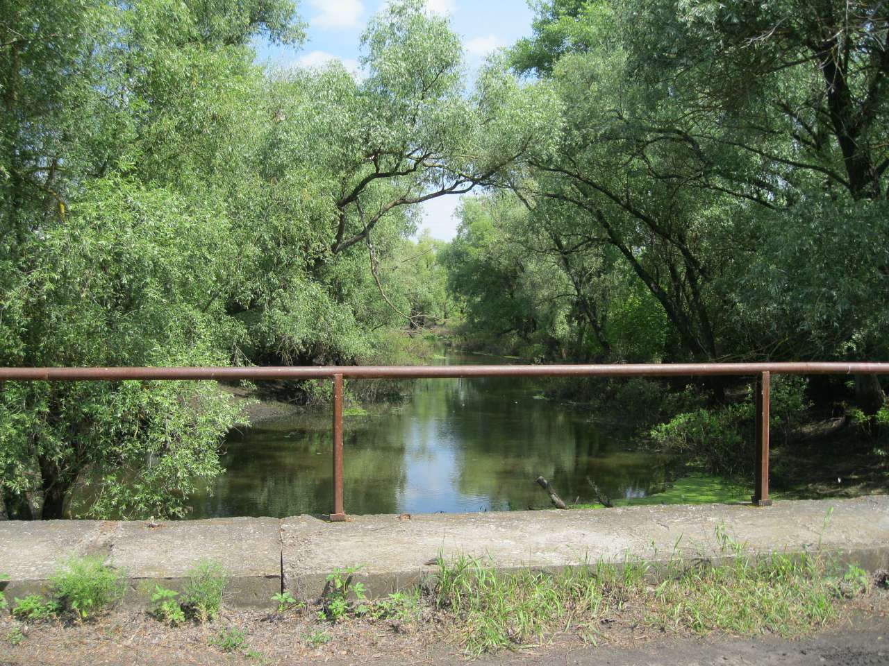 Дібрівка - Дібрівка