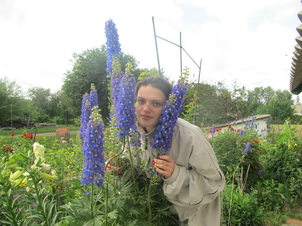 Літо вПетрівці - Петровка