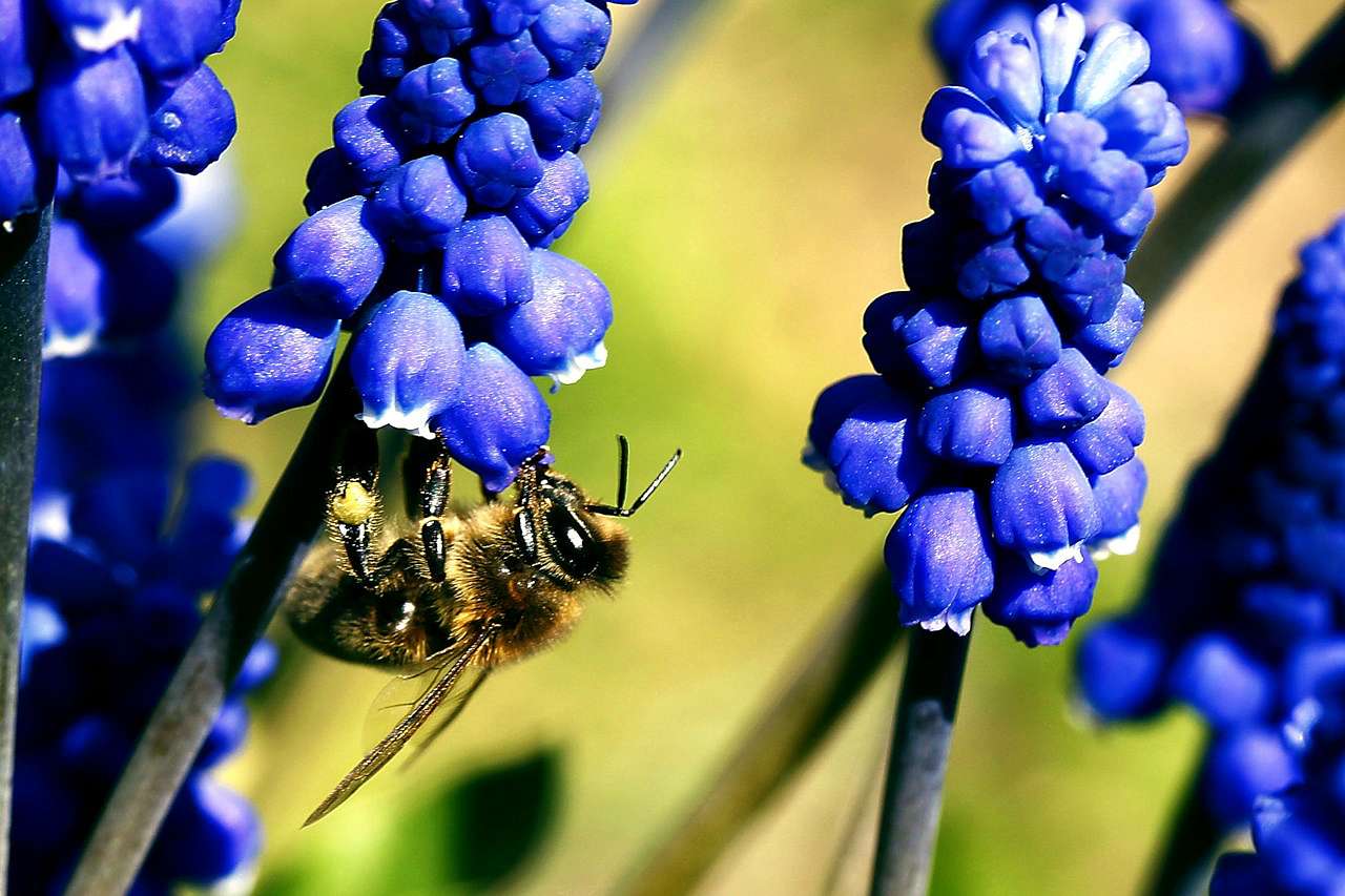  Нашего КРАЯ ПРИРОДА - Великі Кринки