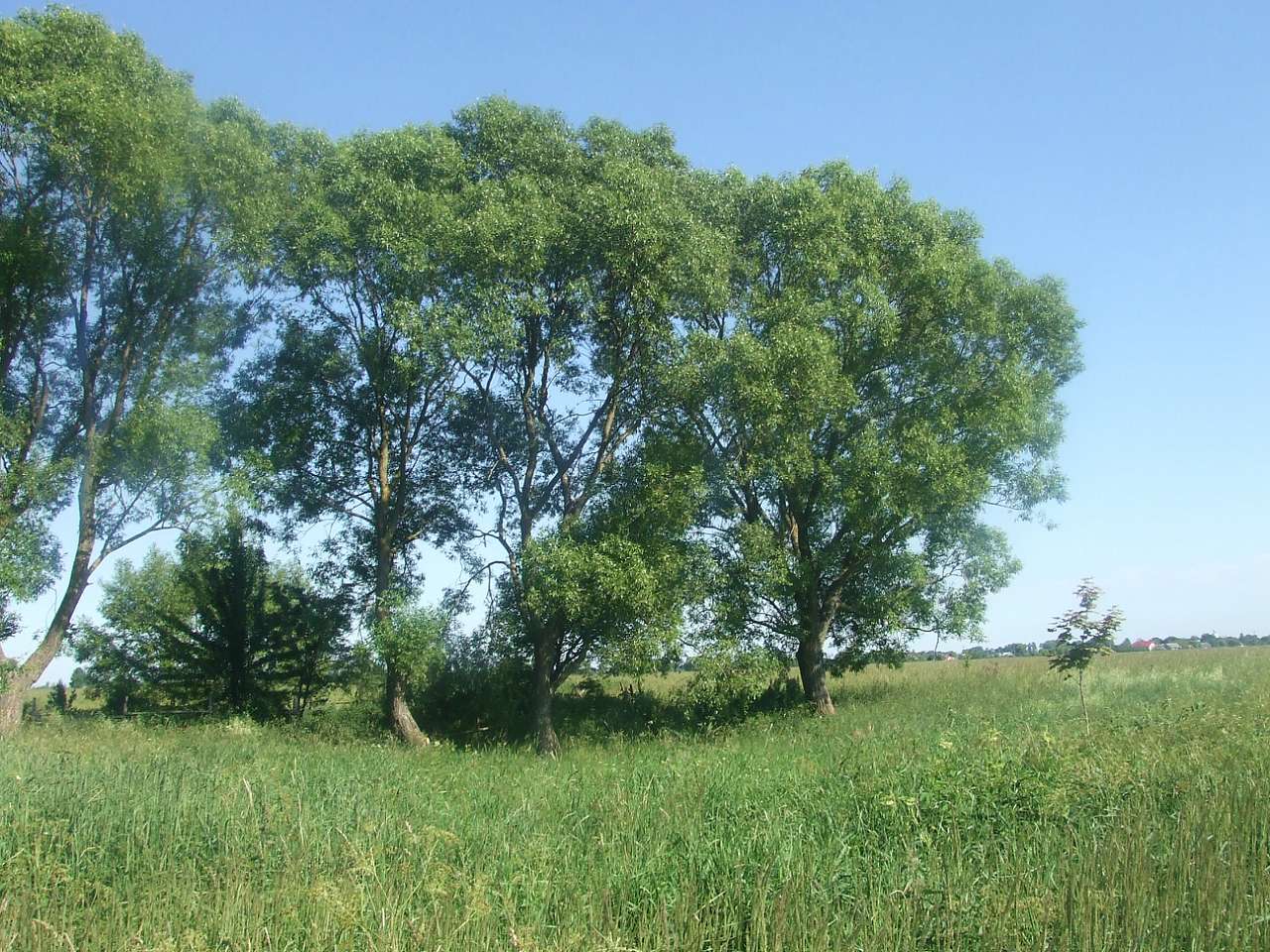 краєвид - Teysariv