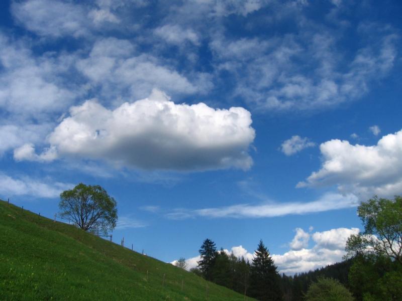 Різне - Селятин