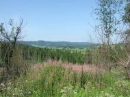  краєвиди дорогою до с.Хітар