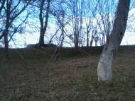 Наше мальовниче село