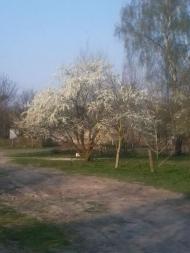 Наше мальовниче село