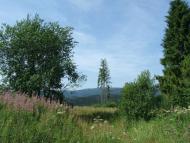  краєвиди дорогою до с.Хітар