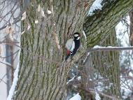 Природа нашого краю