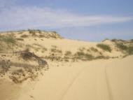 ОЛЕШКІВСЬКІ ПІСКИ-ЄДИНА ПУСТЕЛЯ ЄВРОПИ