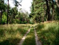 село та його жителі в різні часи