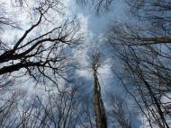 Природа нашого краю