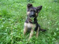 Природа нашого краю