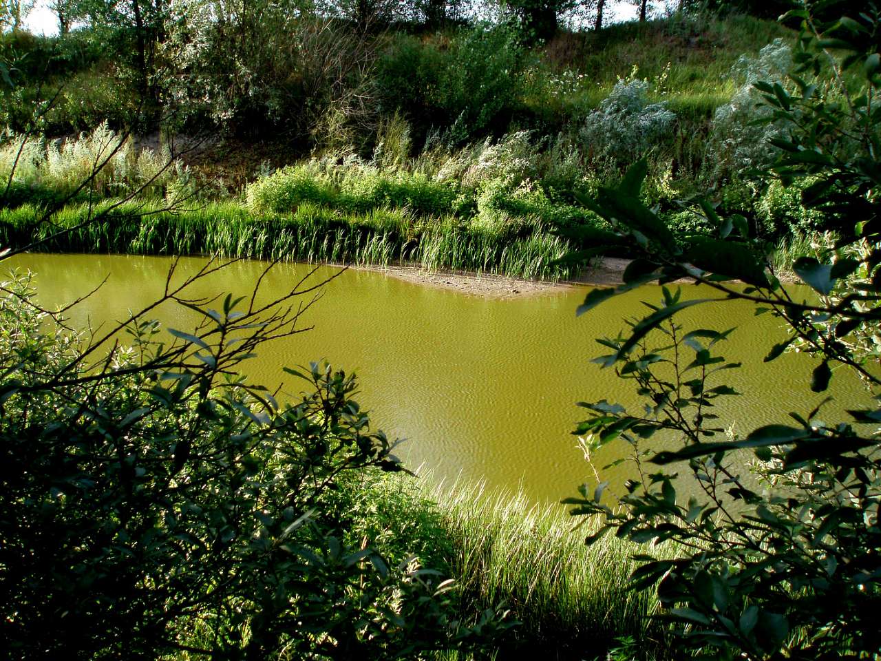 село та його жителі в різні часи - Харьковцы