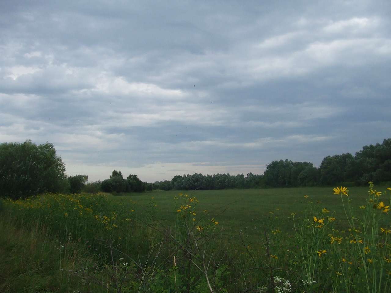 краєвид - Долішнє