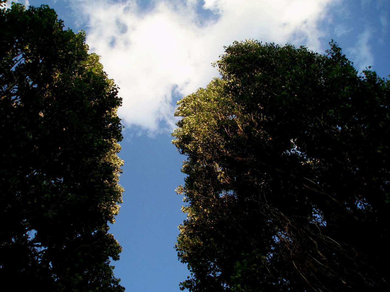 с. Гайшин - Гайшин