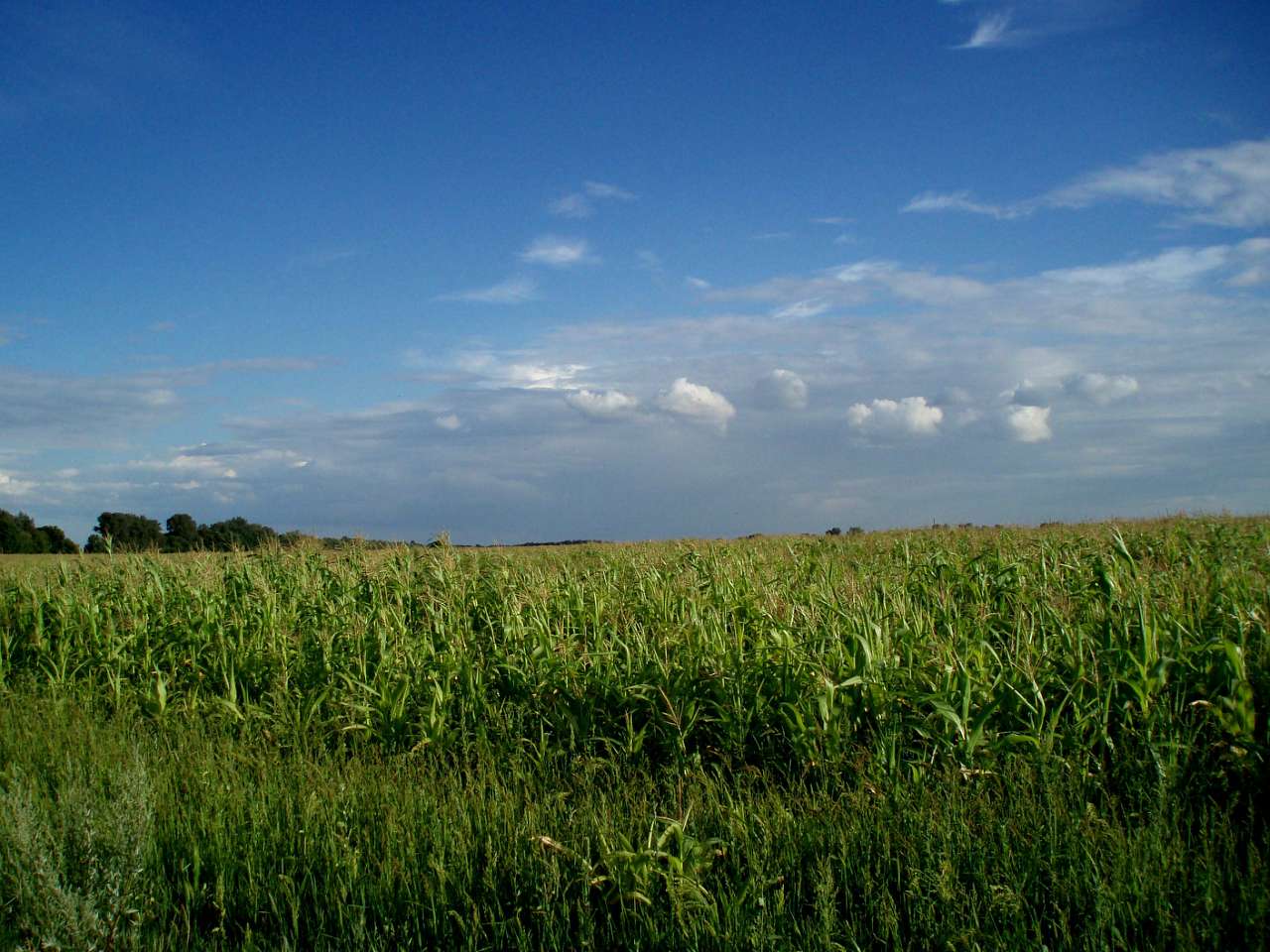 довкілля - Харьковцы