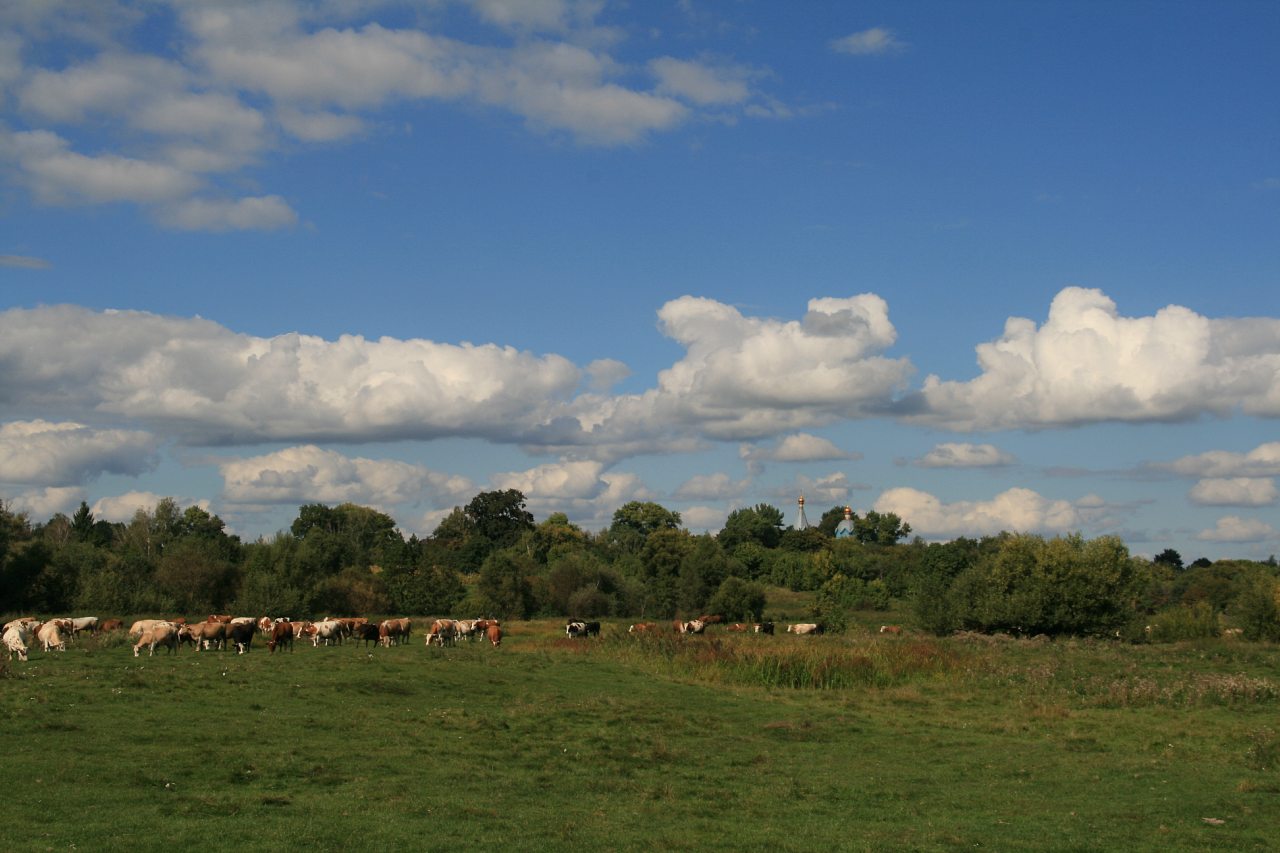 село - Киріївка