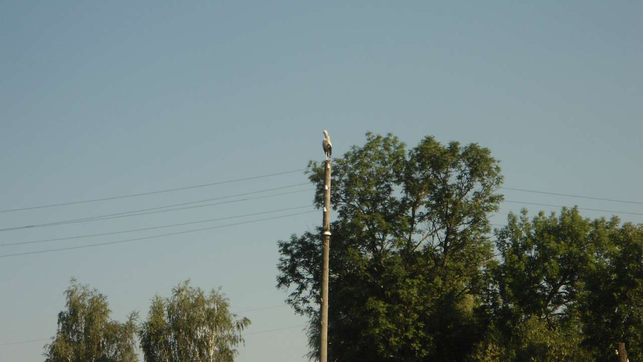 Природа - Райгородок