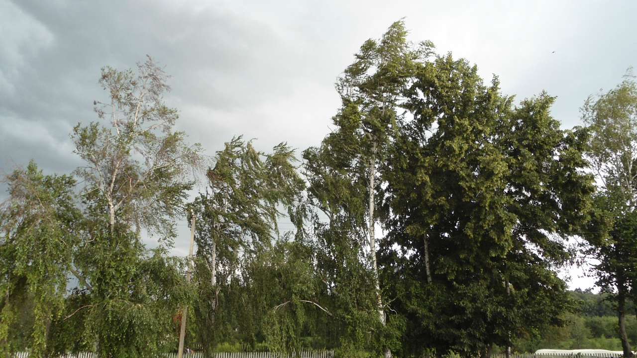 Райгородок - Райгородок
