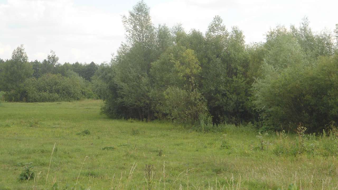 Райгородок - Райгородок