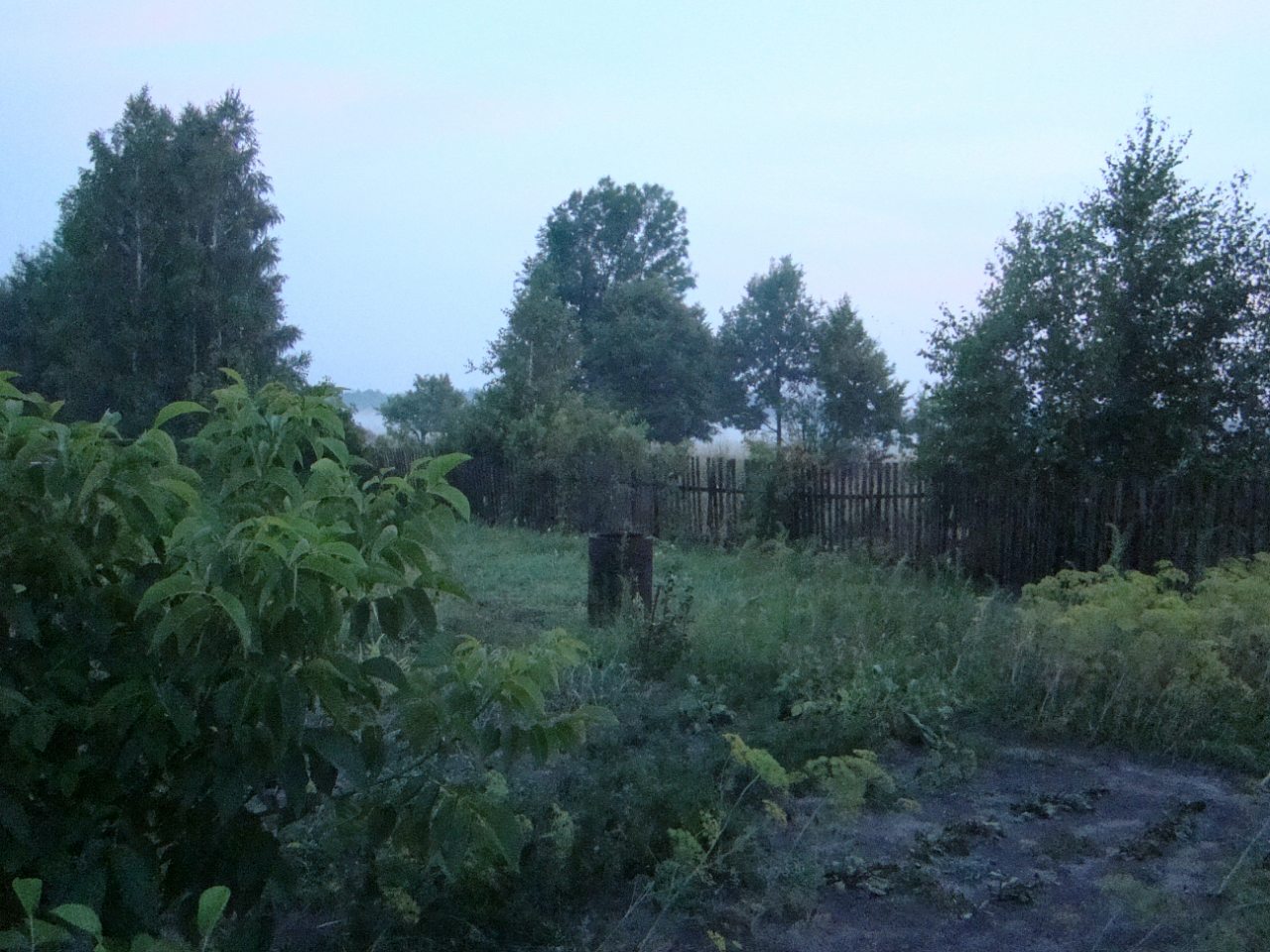 Гута-2012 - Гута-Забілоцька