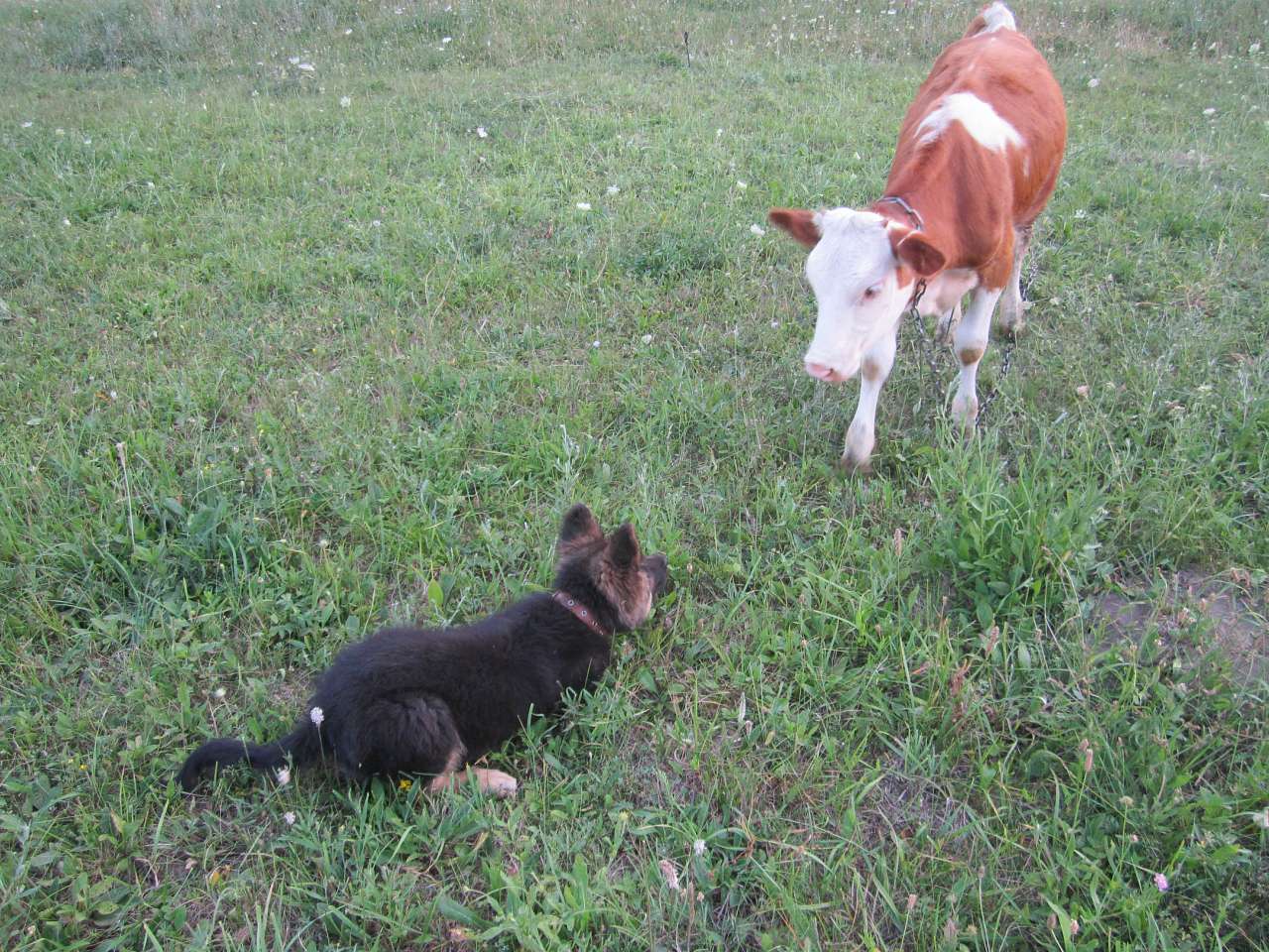 Природа нашого краю - Снітків