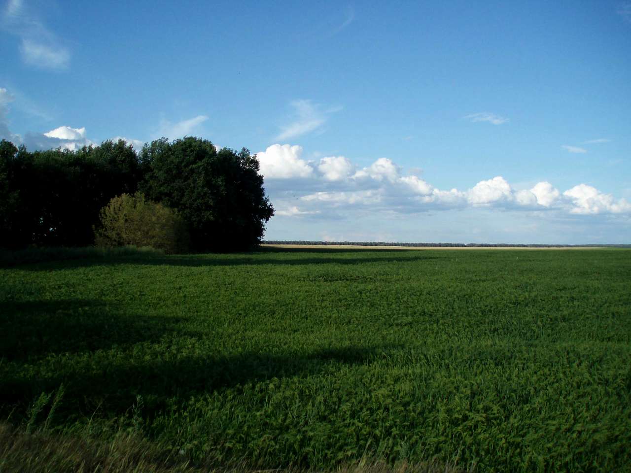 село та його жителі в різні часи - Харьковцы
